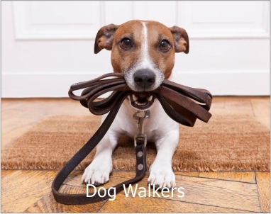 dog walkers logo
